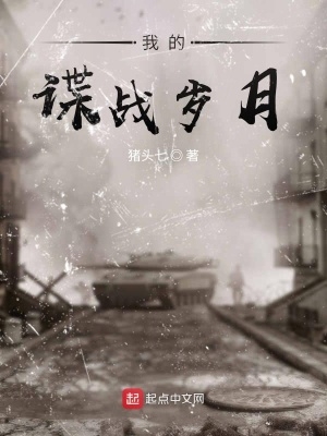 我的谍战岁月txt下载无防盗