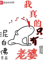我真的只有一个老婆起点